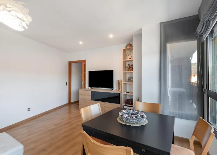 Apartamento Niu Turistic Olvan